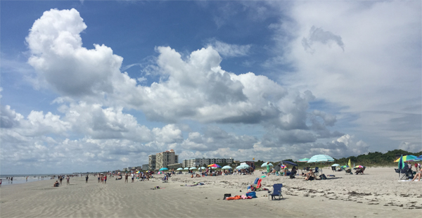 Lori Wilson Park Beach